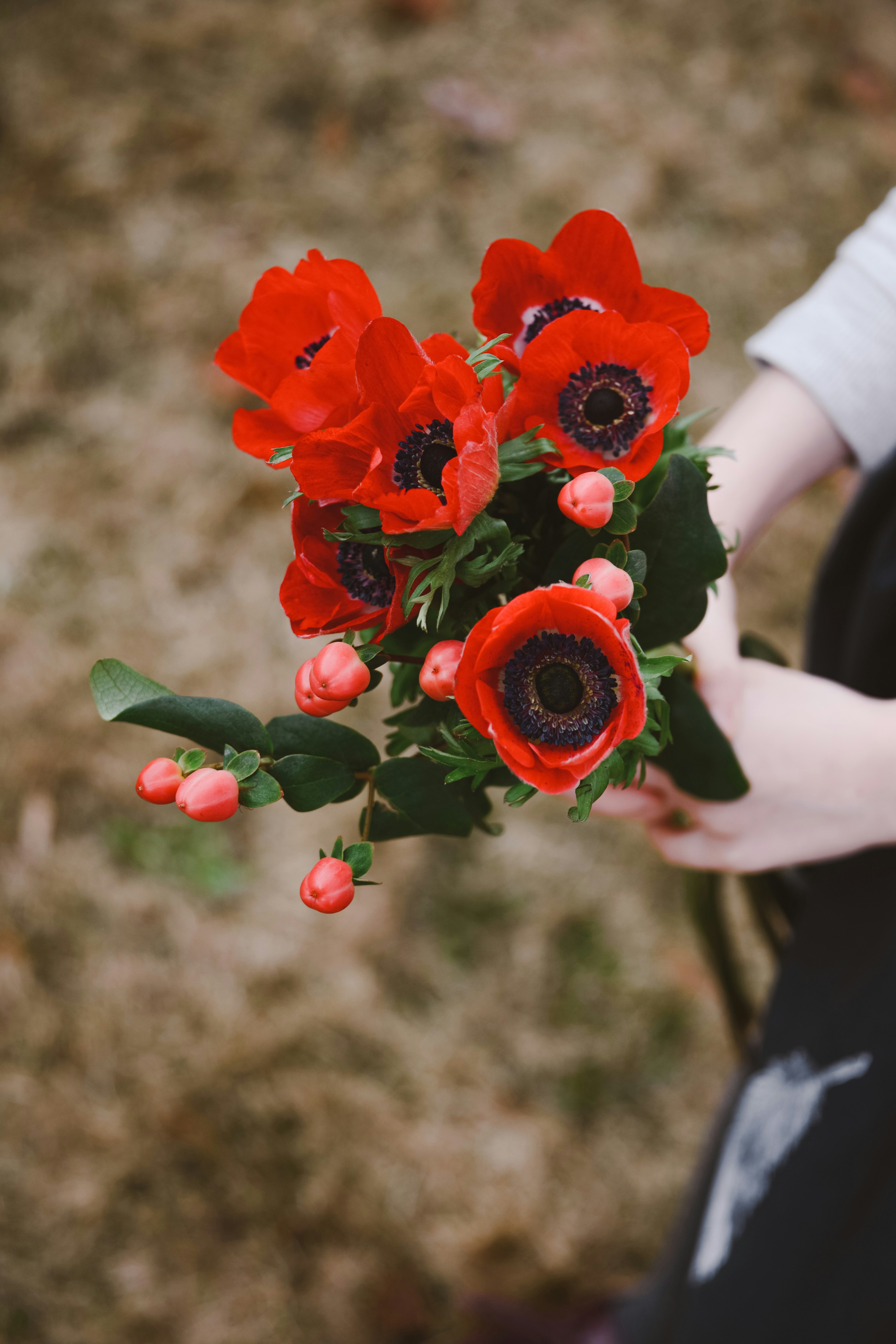 Photo by anitaaustvika