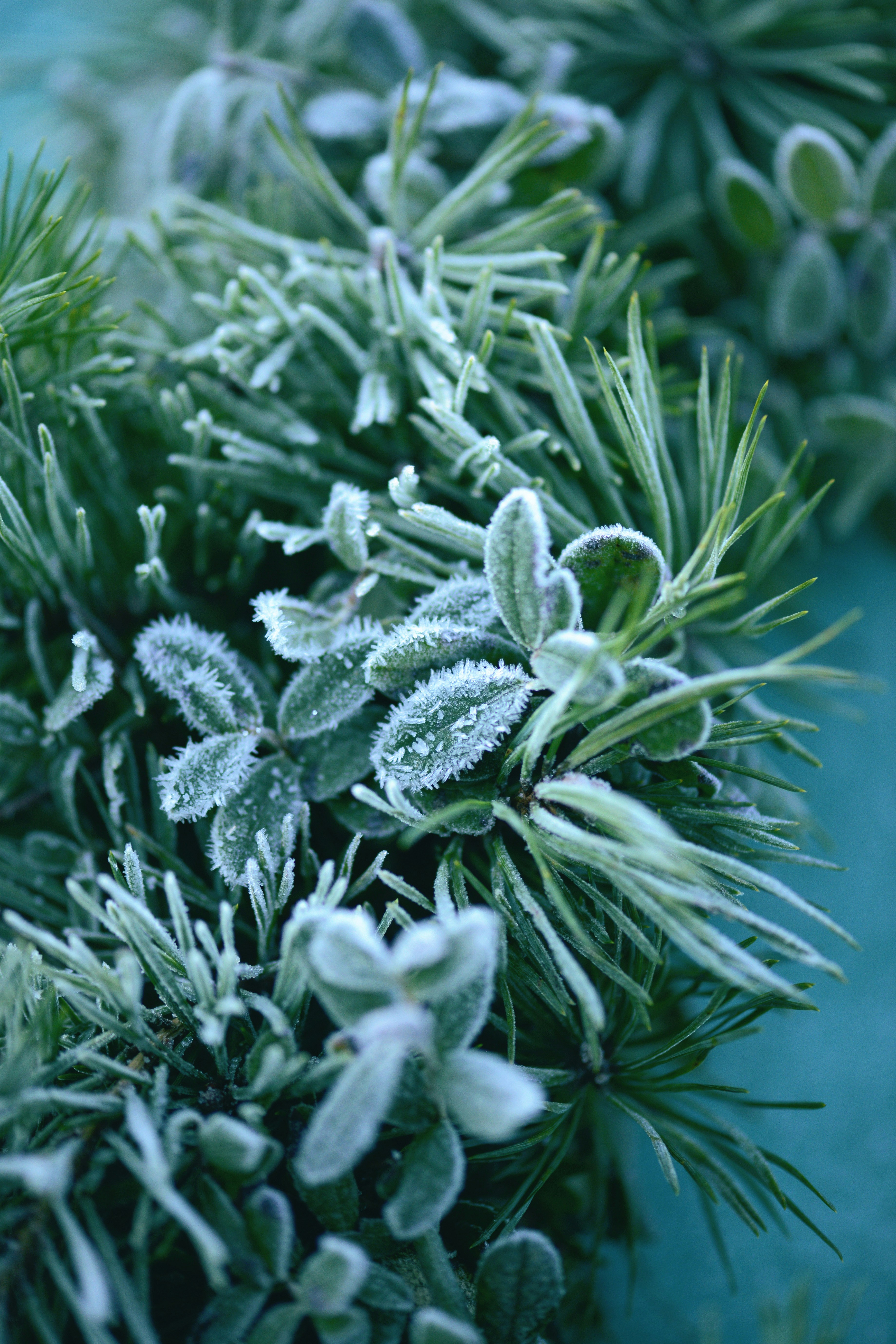 Photo by anitaaustvika