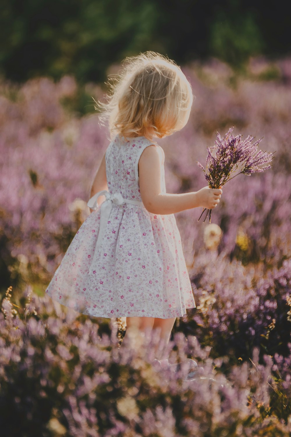 a little girl standing in a field of flowers