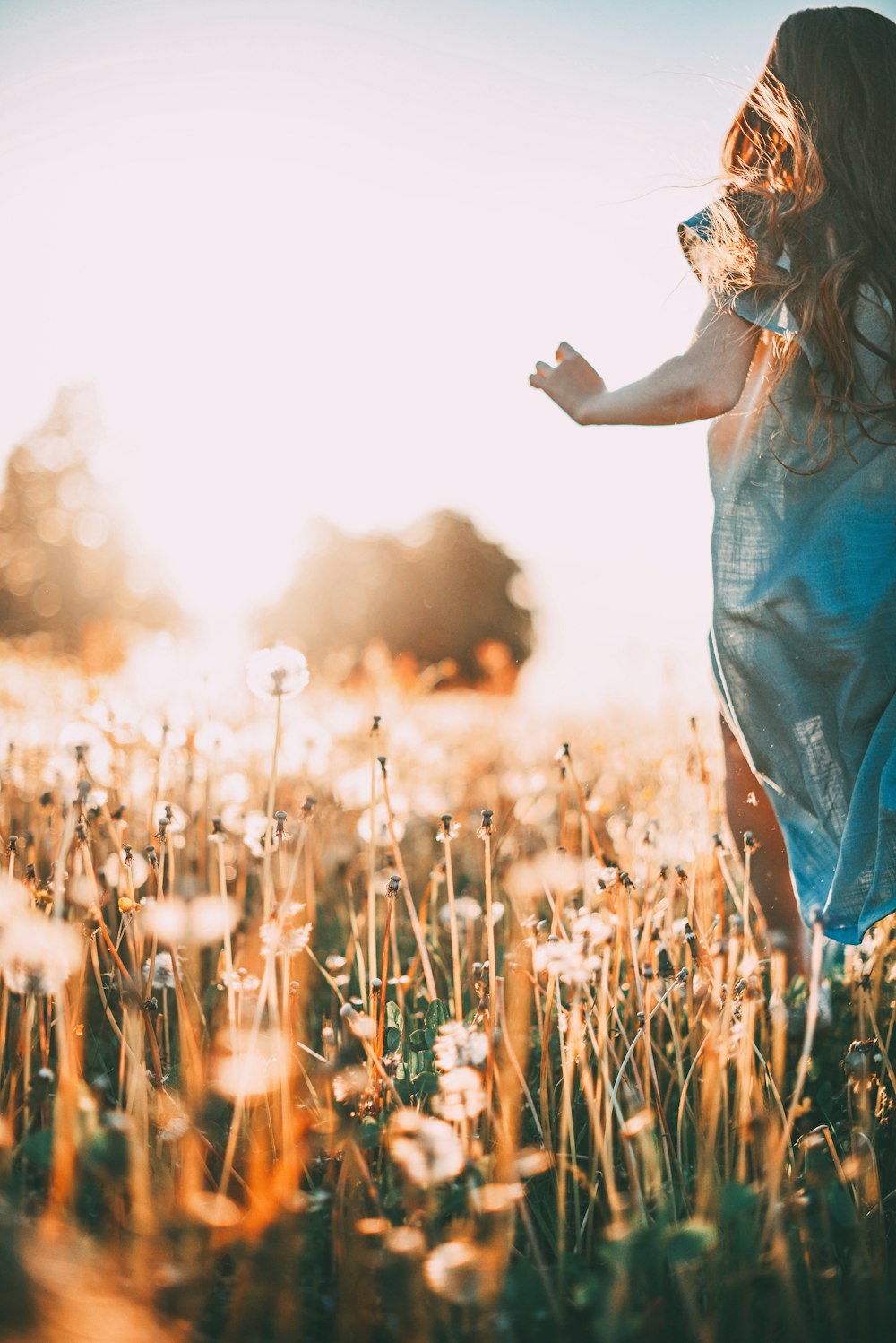 a little girl in a field of dandelions