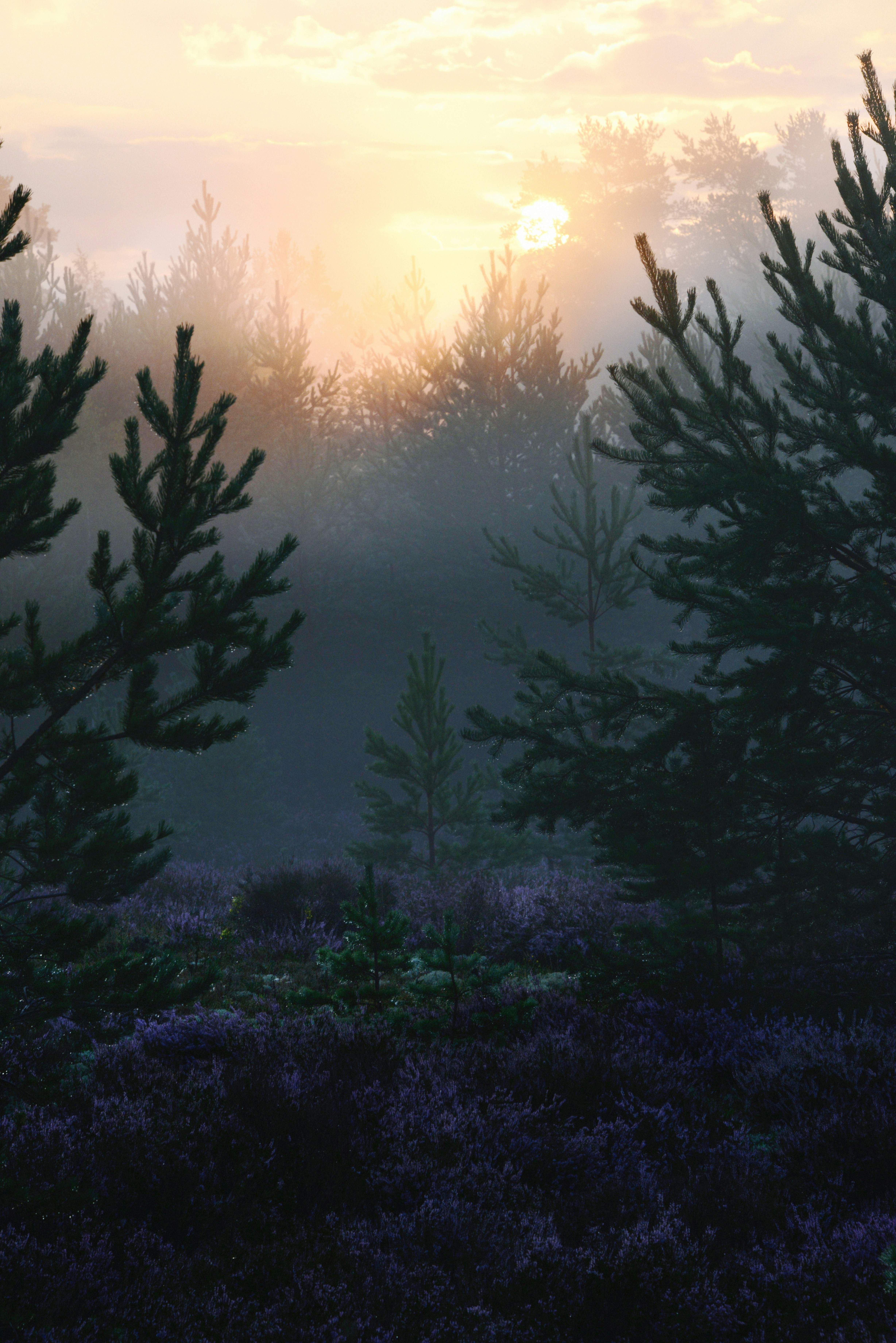 Photo by anitaaustvika