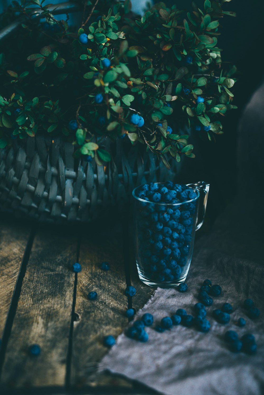 a glass filled with blue berries next to a potted plant