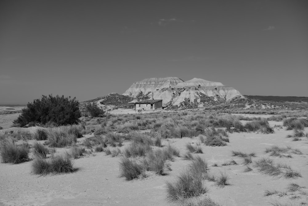 a black and white photo of a house in the desert
