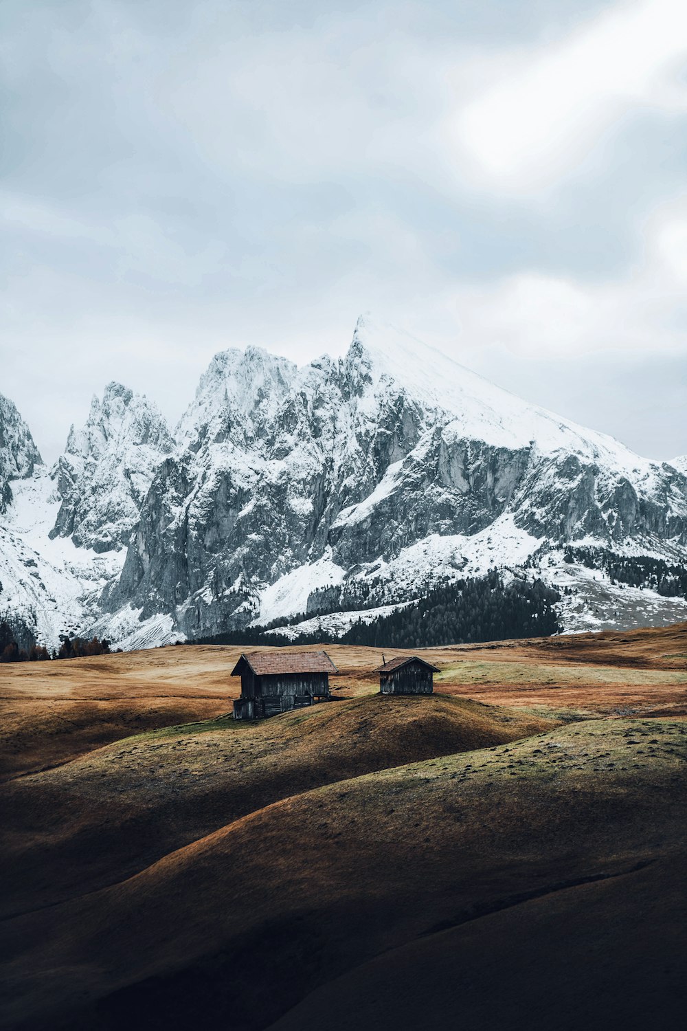 a house in a field with a mountain in the background