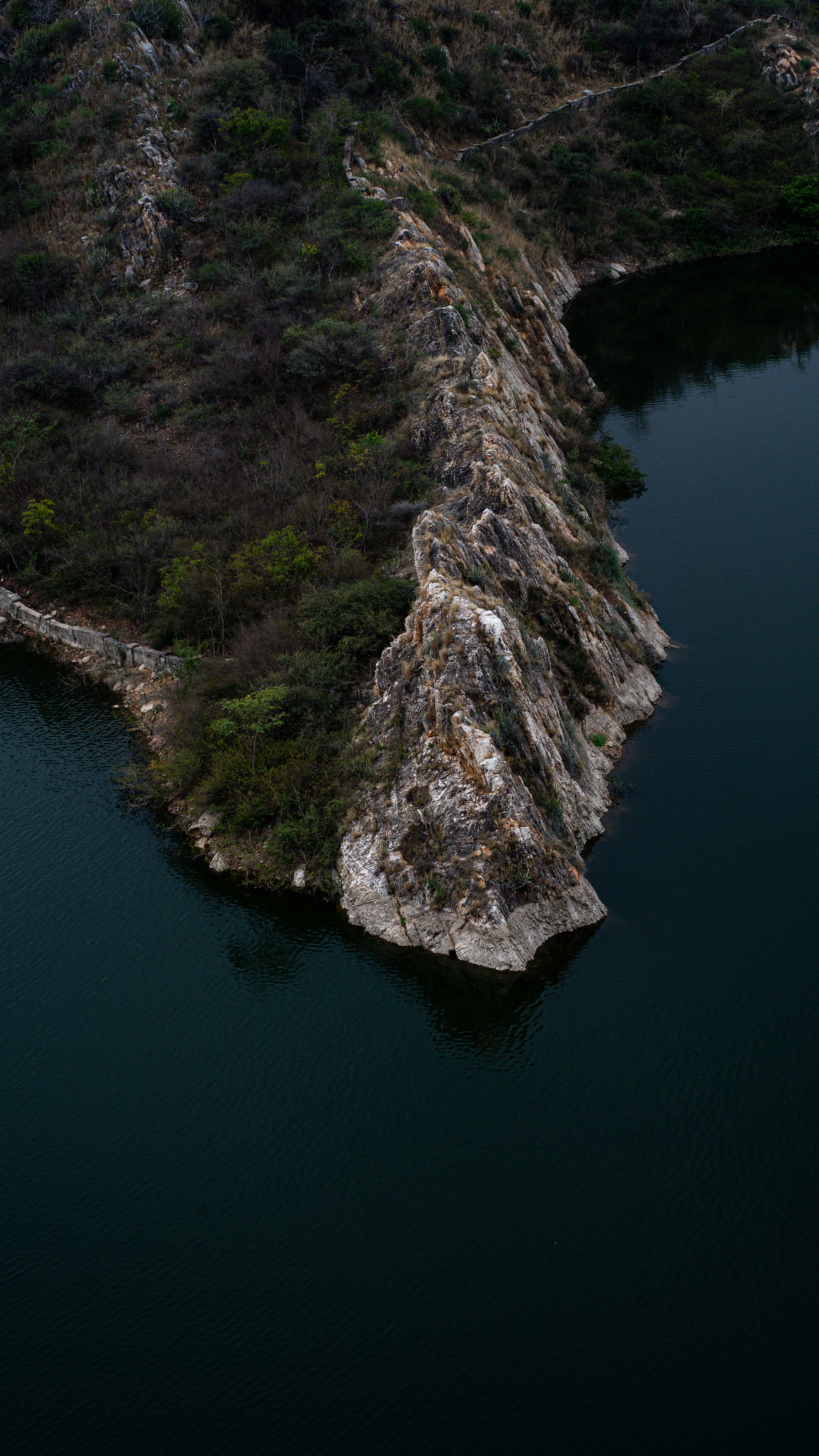 Photo by shubhamsharan