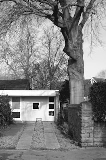 A black and white photo of the original school building from 1954 surrounded by village greenery.