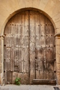 A large, arched wooden door made up of aged wooden planks with visible knots and weathered textures. The door is set within a stone building facade, showing its rustic and historic nature. At the bottom of the door, a small green plant grows from the ground, contrasting with the muted tones of the wood and stone.