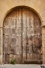 A large, arched wooden door made up of aged wooden planks with visible knots and weathered textures. The door is set within a stone building facade, showing its rustic and historic nature. At the bottom of the door, a small green plant grows from the ground, contrasting with the muted tones of the wood and stone.