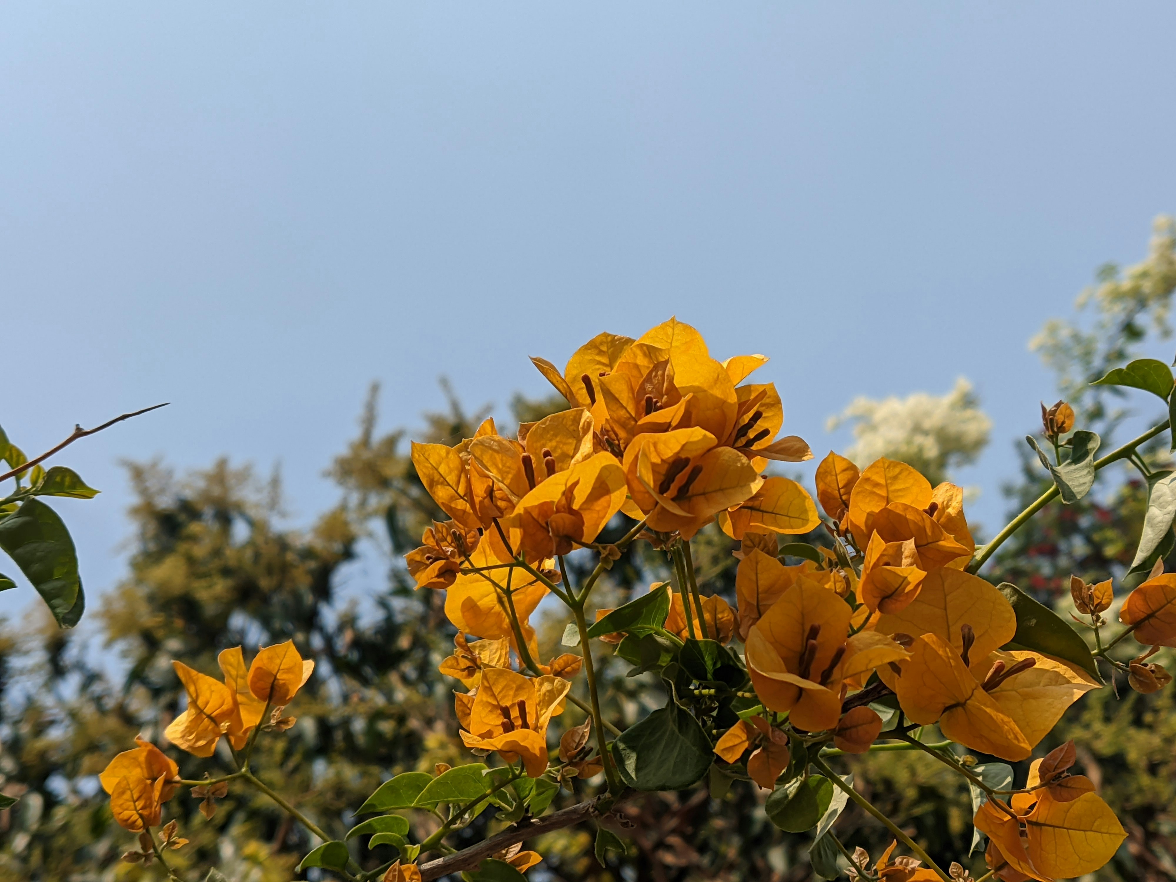 Photo by __gaurav_bharti