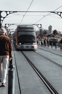 A modern metro train travels across a bridge with ornate metalwork arches. Pedestrians are walking along the sides of the bridge, and a crowd is gathered near the edge, possibly sightseeing. In the background, there are tall buildings and palm trees, suggesting an urban setting with adjacent greenery.