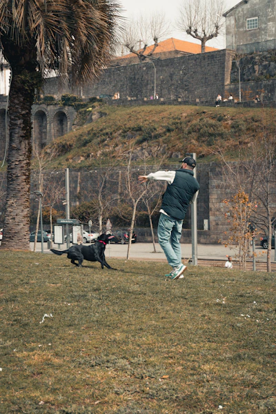 a man playing frisbee with his dog in a park