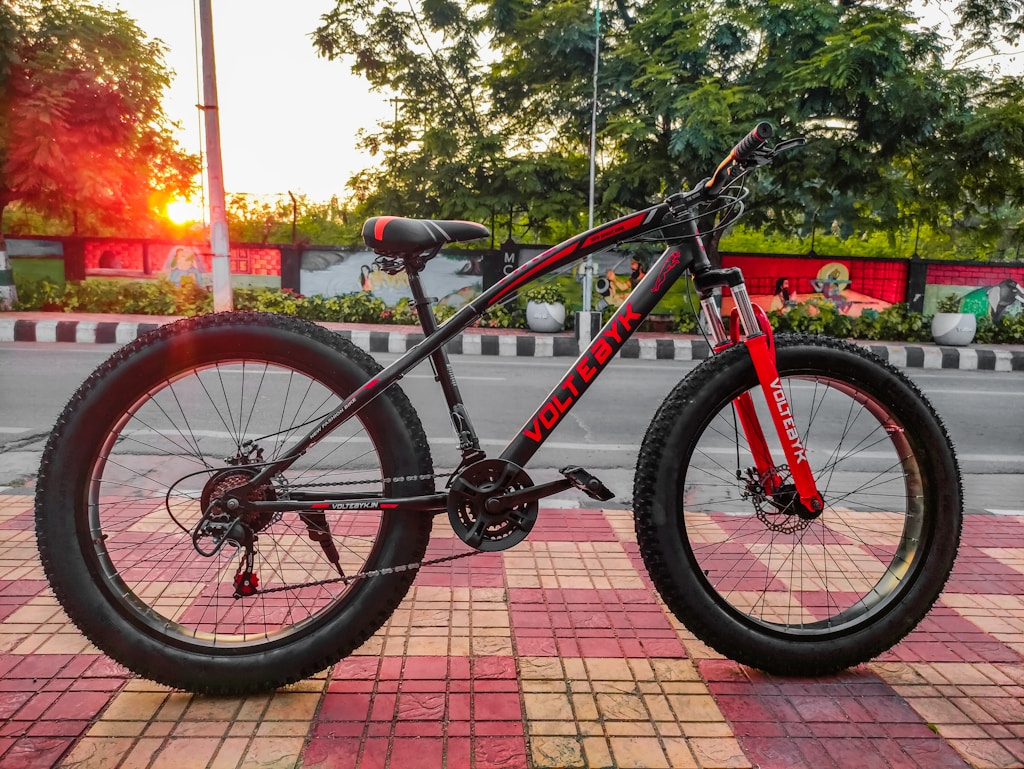 Fatbike Compact