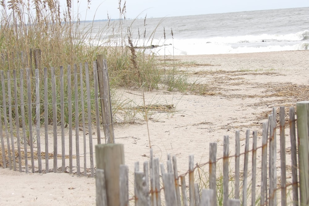 a beach with a fence and grass next to the ocean