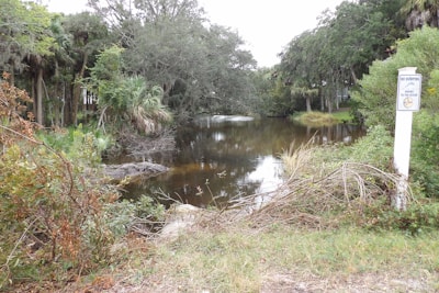 A serene pond surrounded by various types of greenery, including trees and bushes. The water is still, reflecting some of the surrounding vegetation. There is a white sign on a pole near the foreground that reads 'NO DUMPING' with additional text warning about pollution. The setting appears to be a calm and slightly overcast day.