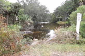 A serene pond surrounded by various types of greenery, including trees and bushes. The water is still, reflecting some of the surrounding vegetation. There is a white sign on a pole near the foreground that reads 'NO DUMPING' with additional text warning about pollution. The setting appears to be a calm and slightly overcast day.
