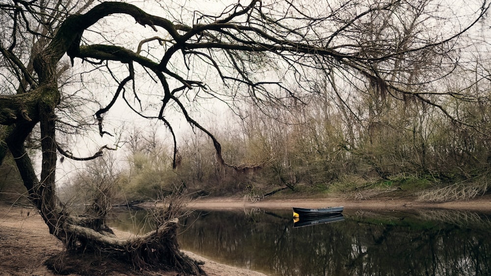 a boat floating on top of a river next to a forest