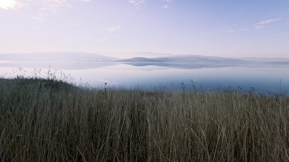 a grassy field with a lake in the background