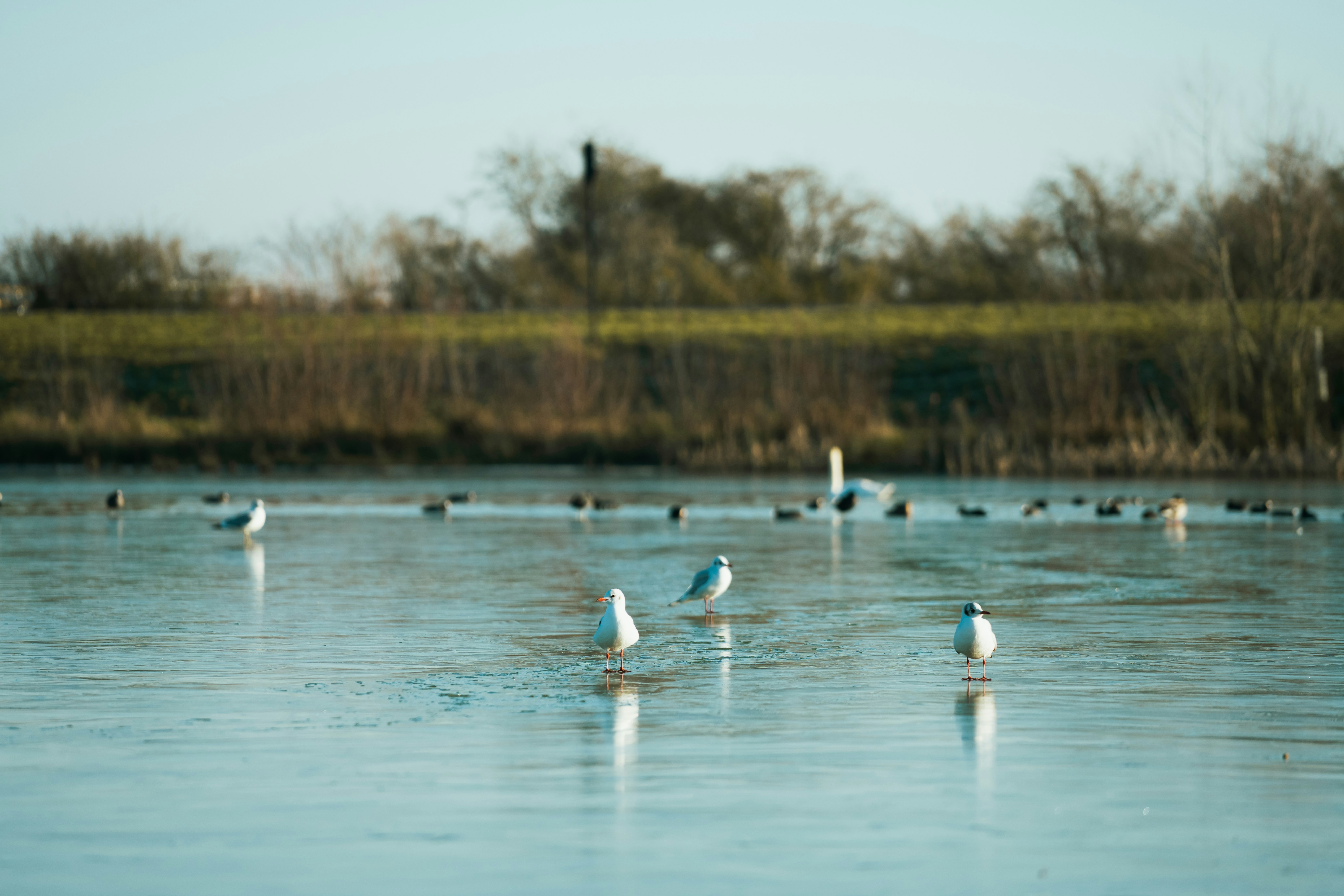 Photo by dixitdhinakaran