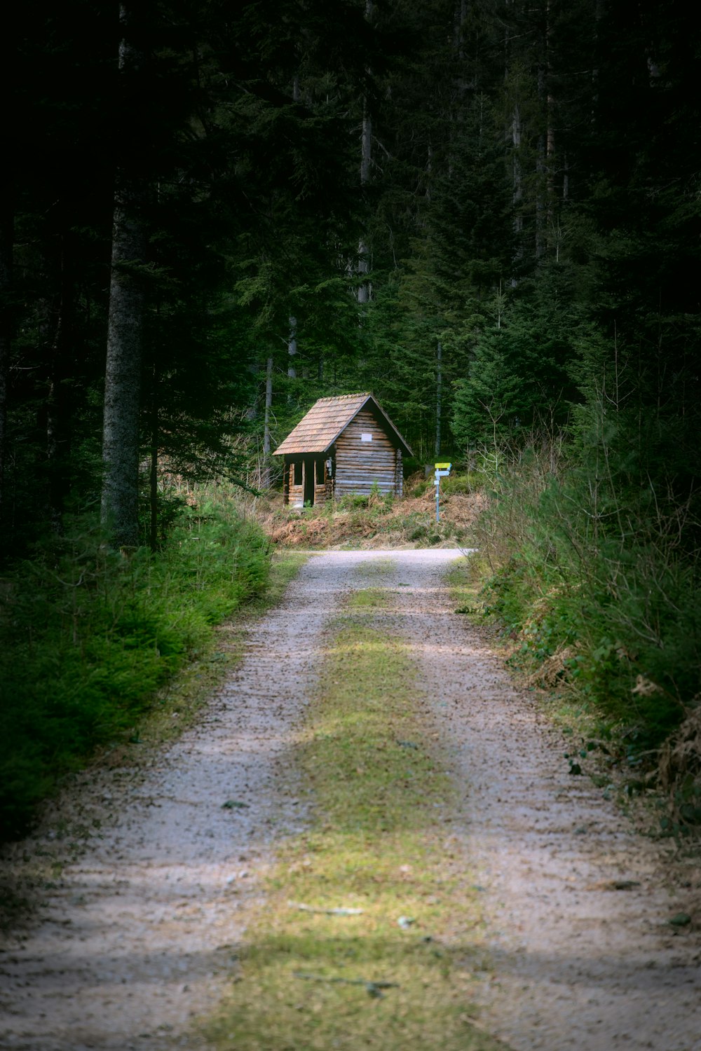 a small cabin in the middle of a forest