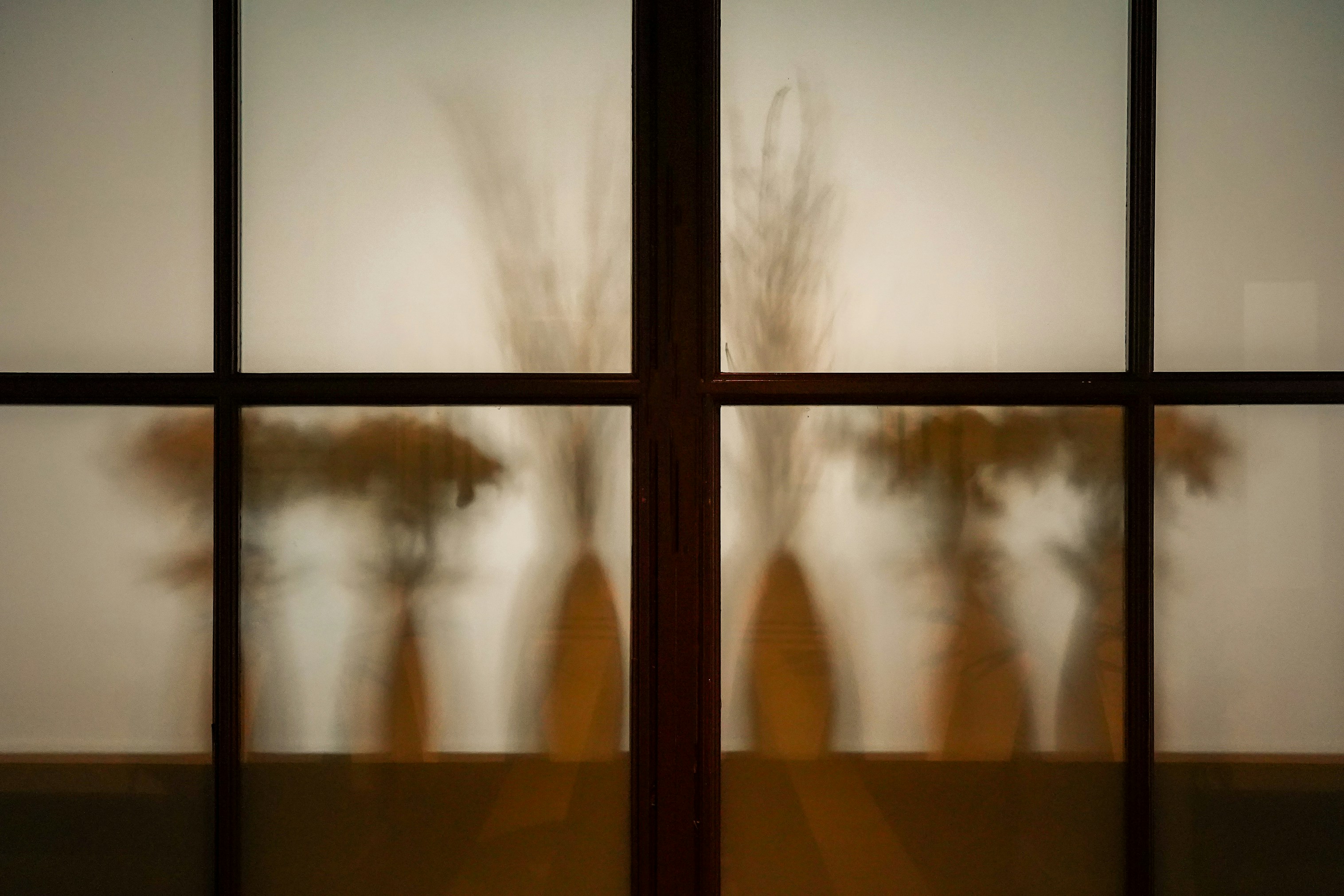 Photo by jannerboy62