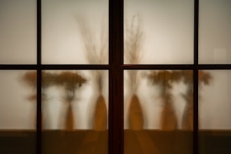 Silhouettes of vases and plants are visible through frosted glass panes, creating a mysterious and artistic shadow effect.