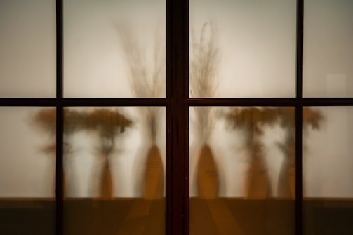 Silhouettes of vases and plants are visible through frosted glass panes, creating a mysterious and artistic shadow effect.