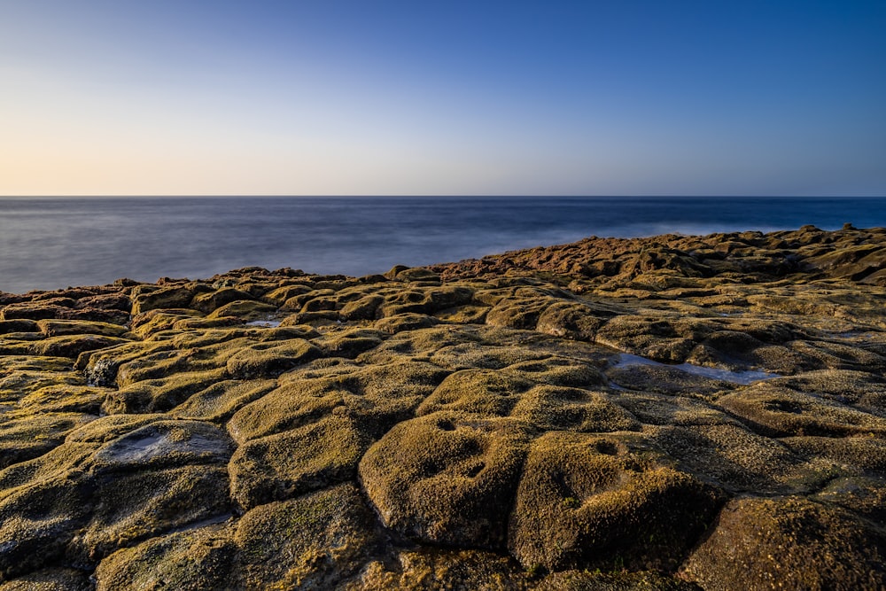 a rocky shore with a body of water in the distance