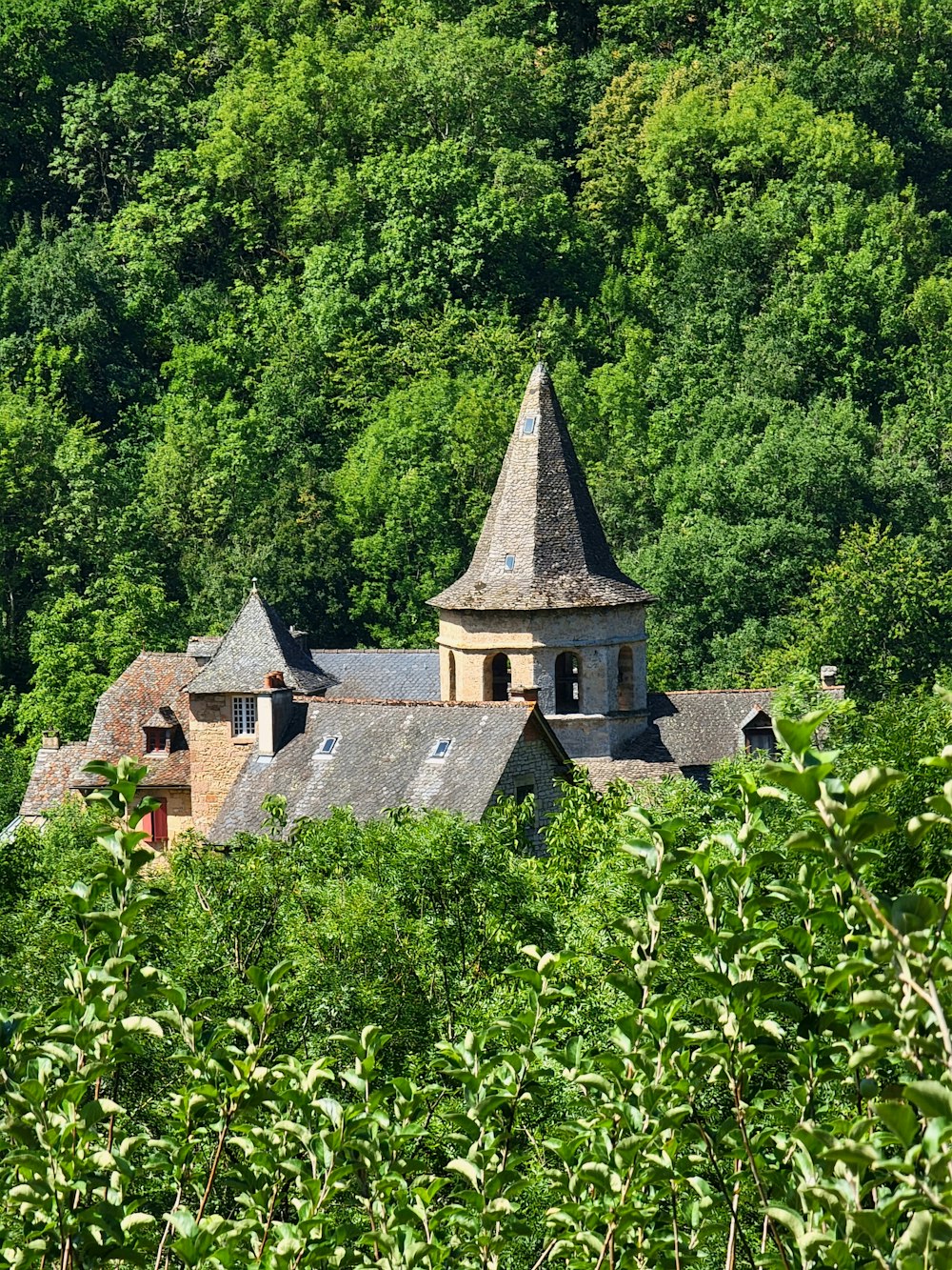 Una antigua iglesia en medio de un bosque