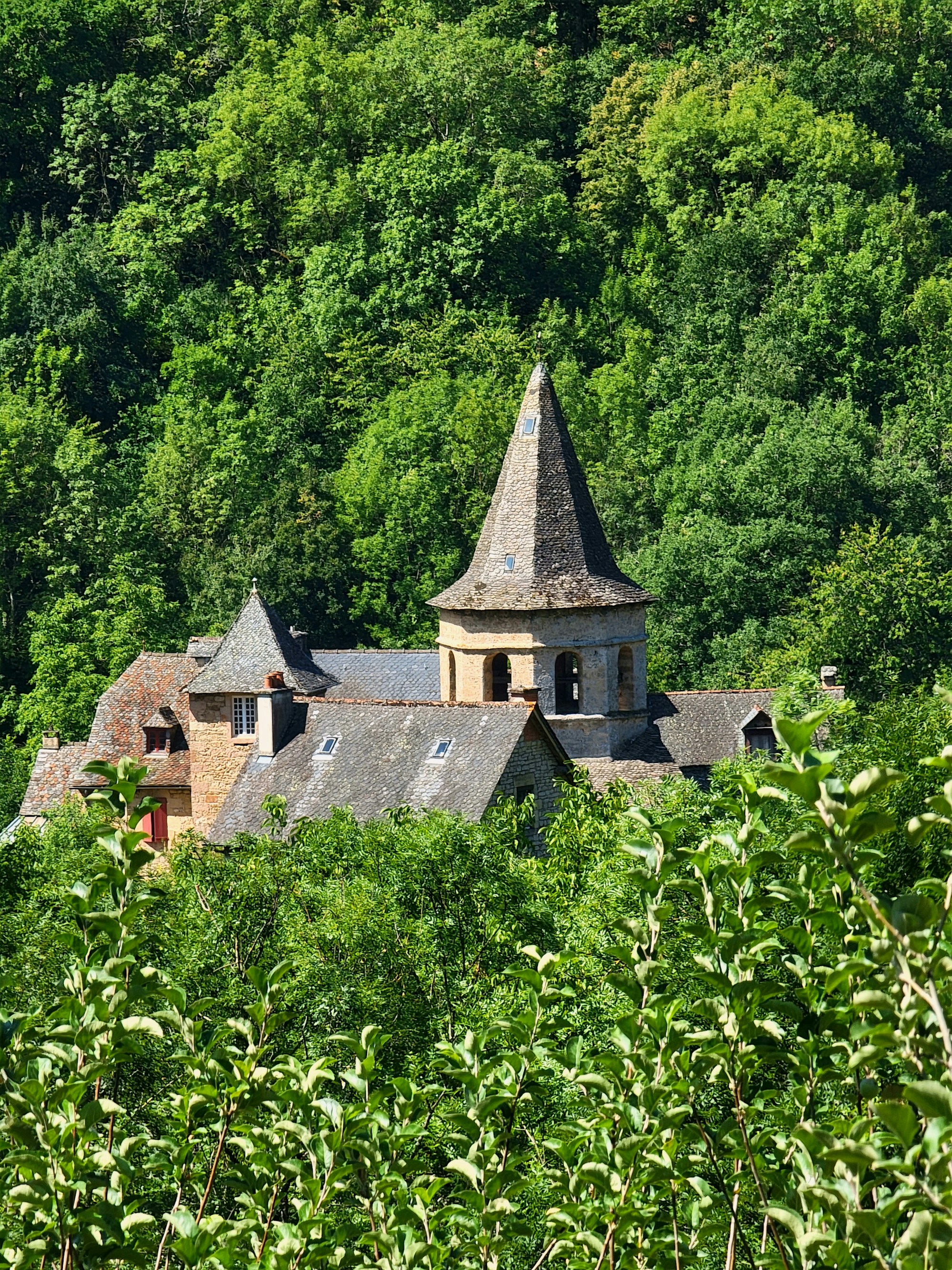 Discover Rodez: Culture, Customs & Festivals