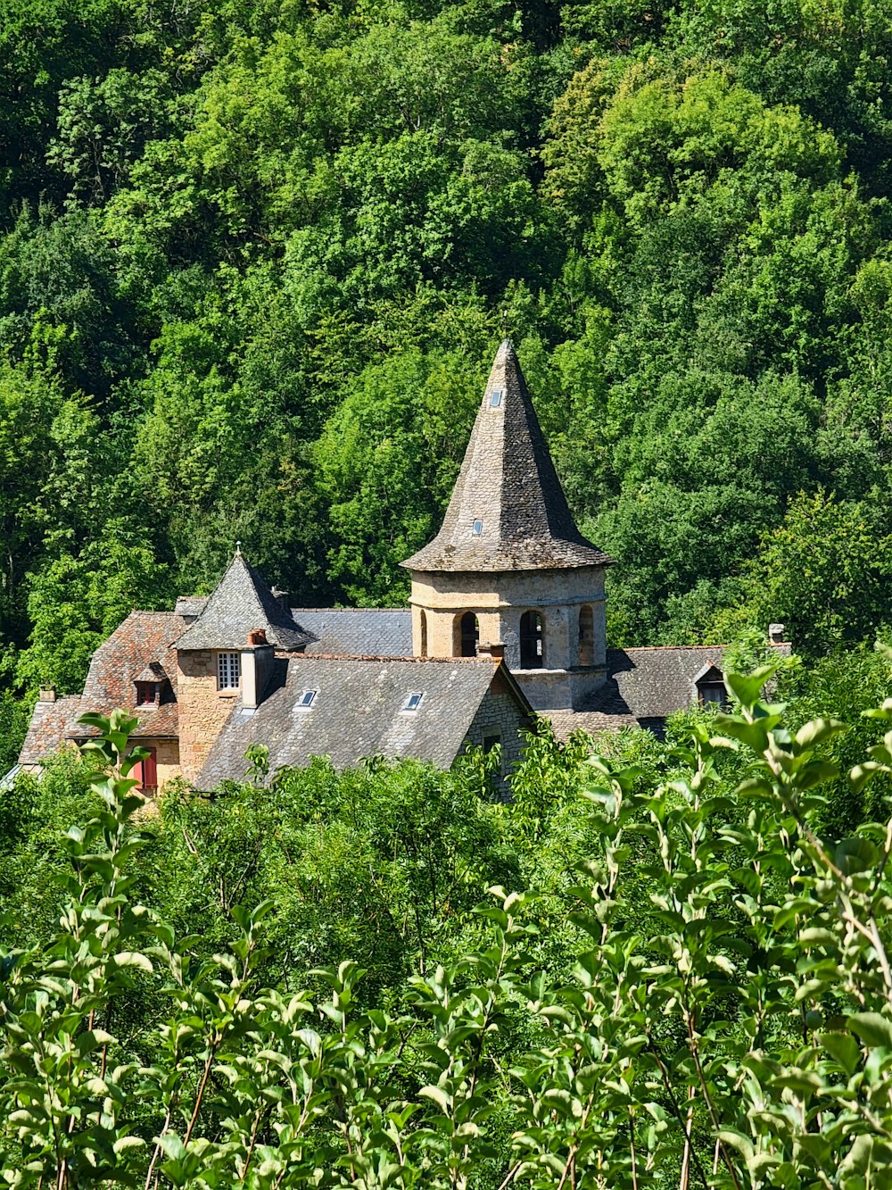 Eine alte Kirche mitten im Wald