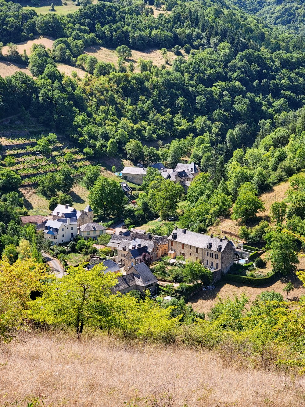 uma vista aérea de uma casa no meio de uma área arborizada