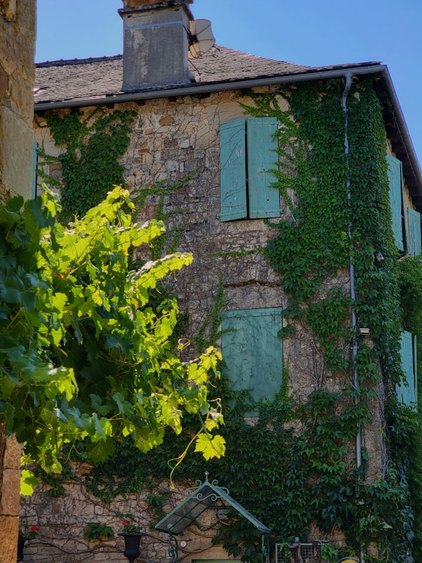 Exploring Rodez: Local Cuisine, Restaurants, and Traditional Recipes