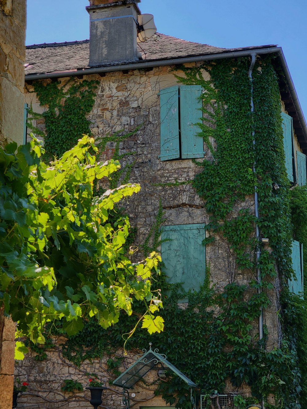 an old building with ivy growing on it