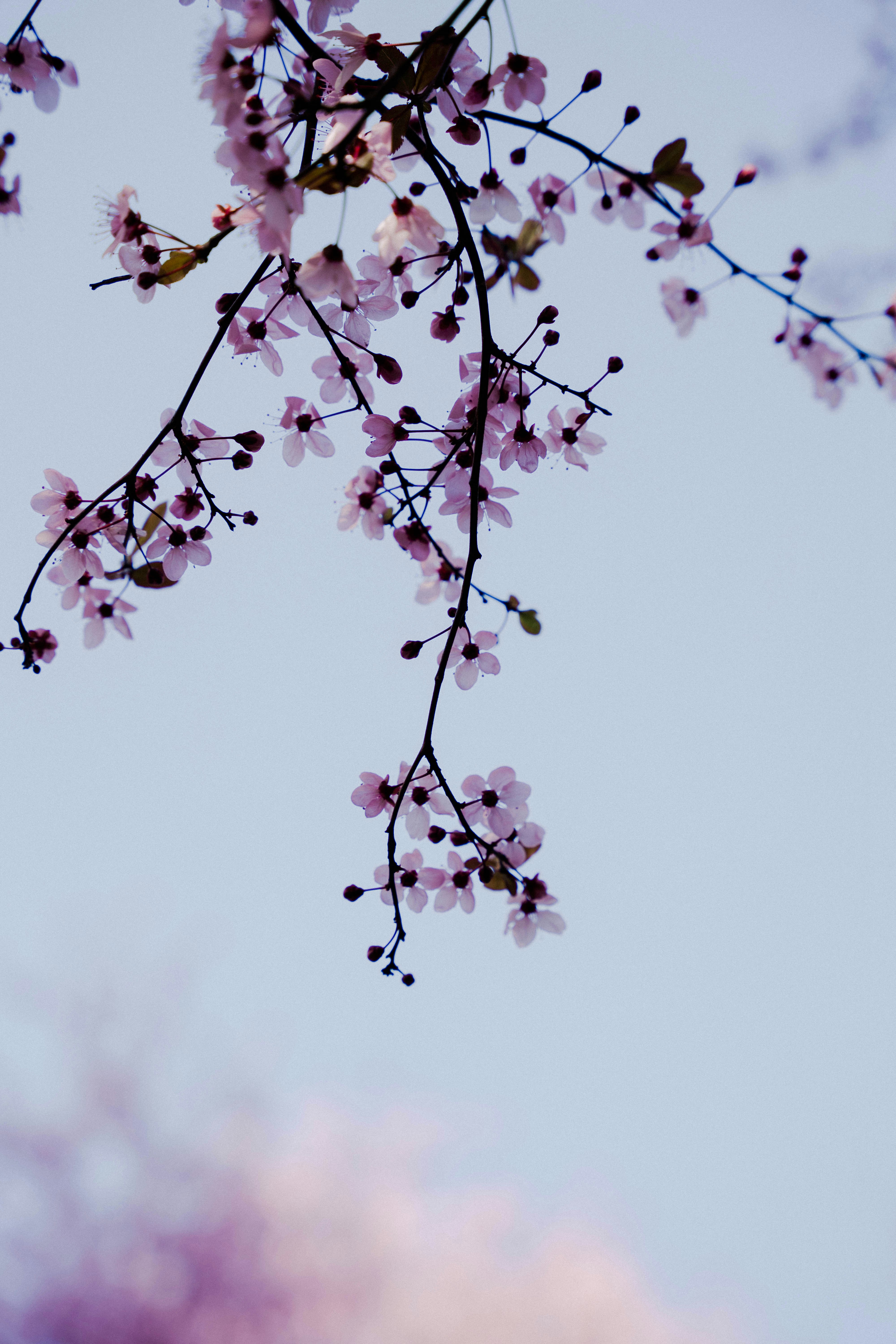 Photo by makiphotographer