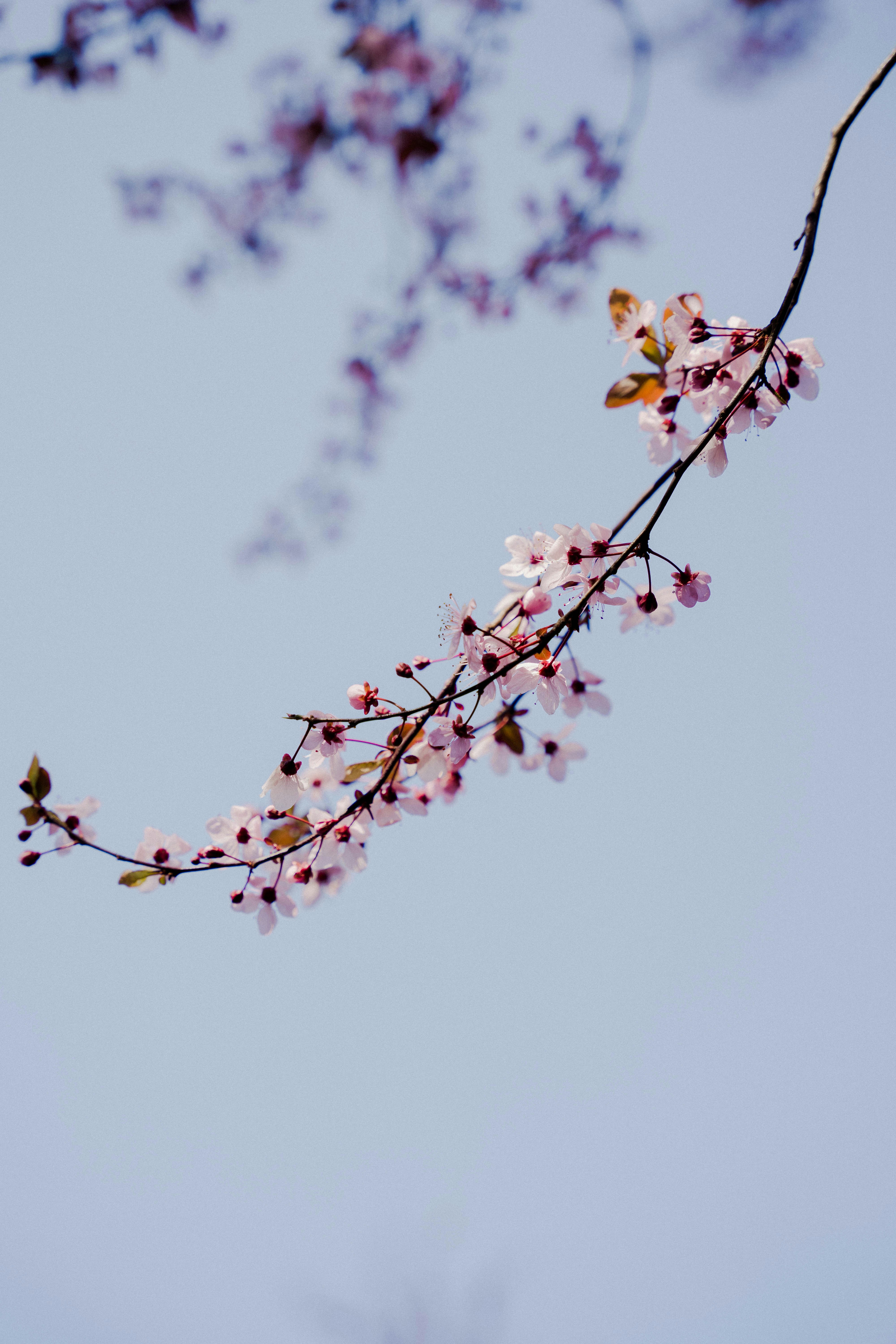 Photo by makiphotographer