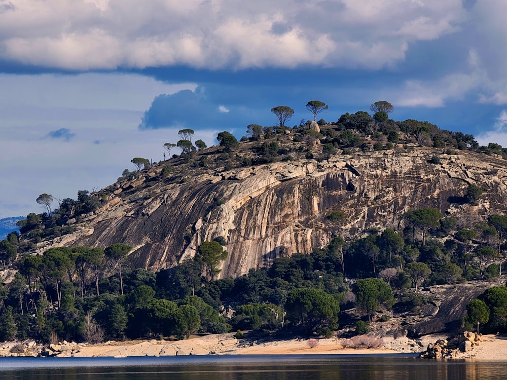 a small island with trees on top of it