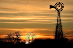 a windmill with birds flying in the sky
