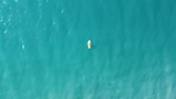 A kayak journey through serene turquoise waters.