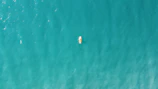 An adventurous male influencer kayaking through turquoise waters surrounded by cliffs.