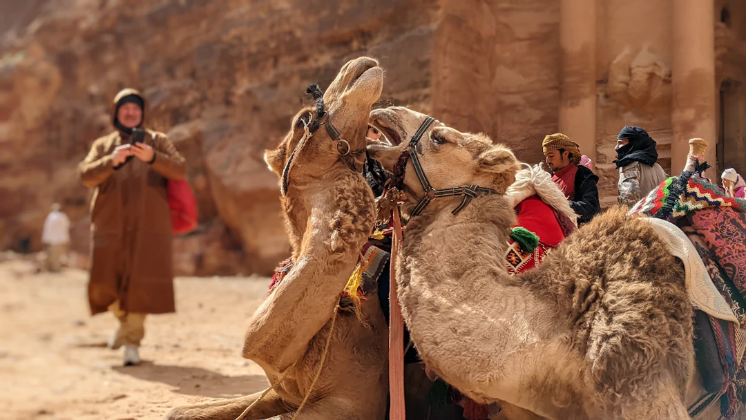 6-Day Jordan Family Itinerary: Classic Routes & Tips