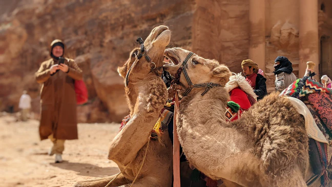 6-Day Jordan Family Itinerary: Classic Routes & Tips