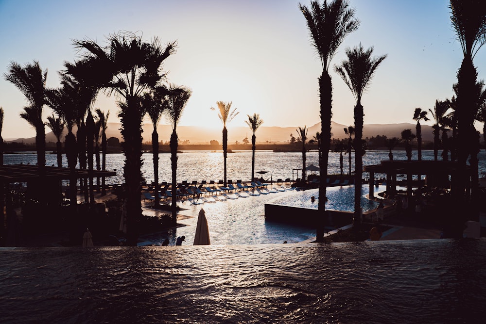 a pool surrounded by palm trees in front of a body of water