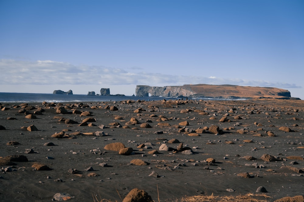 a rocky beach with a large rock formation in the distance