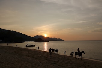 Photo 1679533130124 7b8ac5a013ee?q=85&w=340&h=340&fit=crop