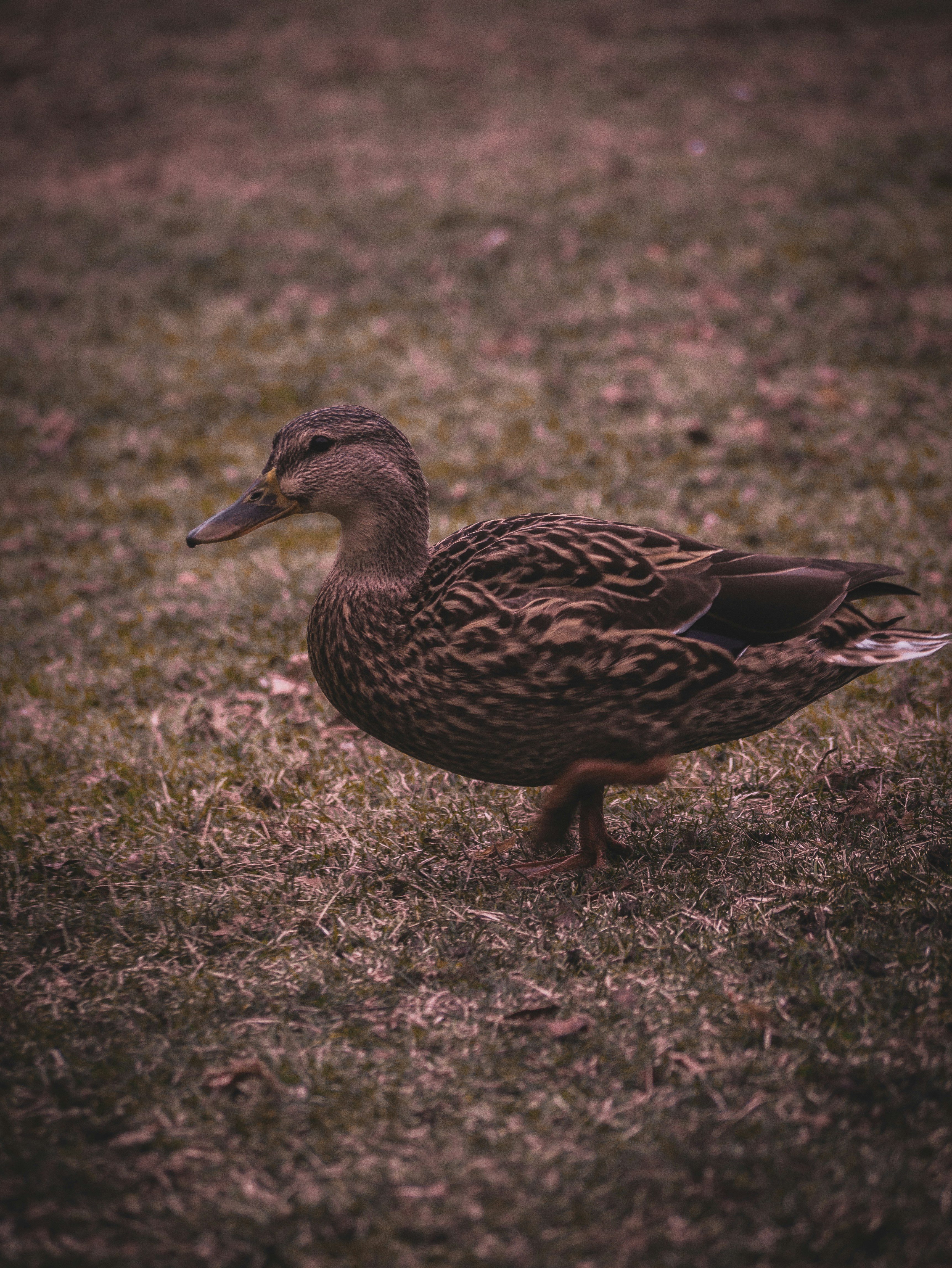 Photo by jadonjohnson