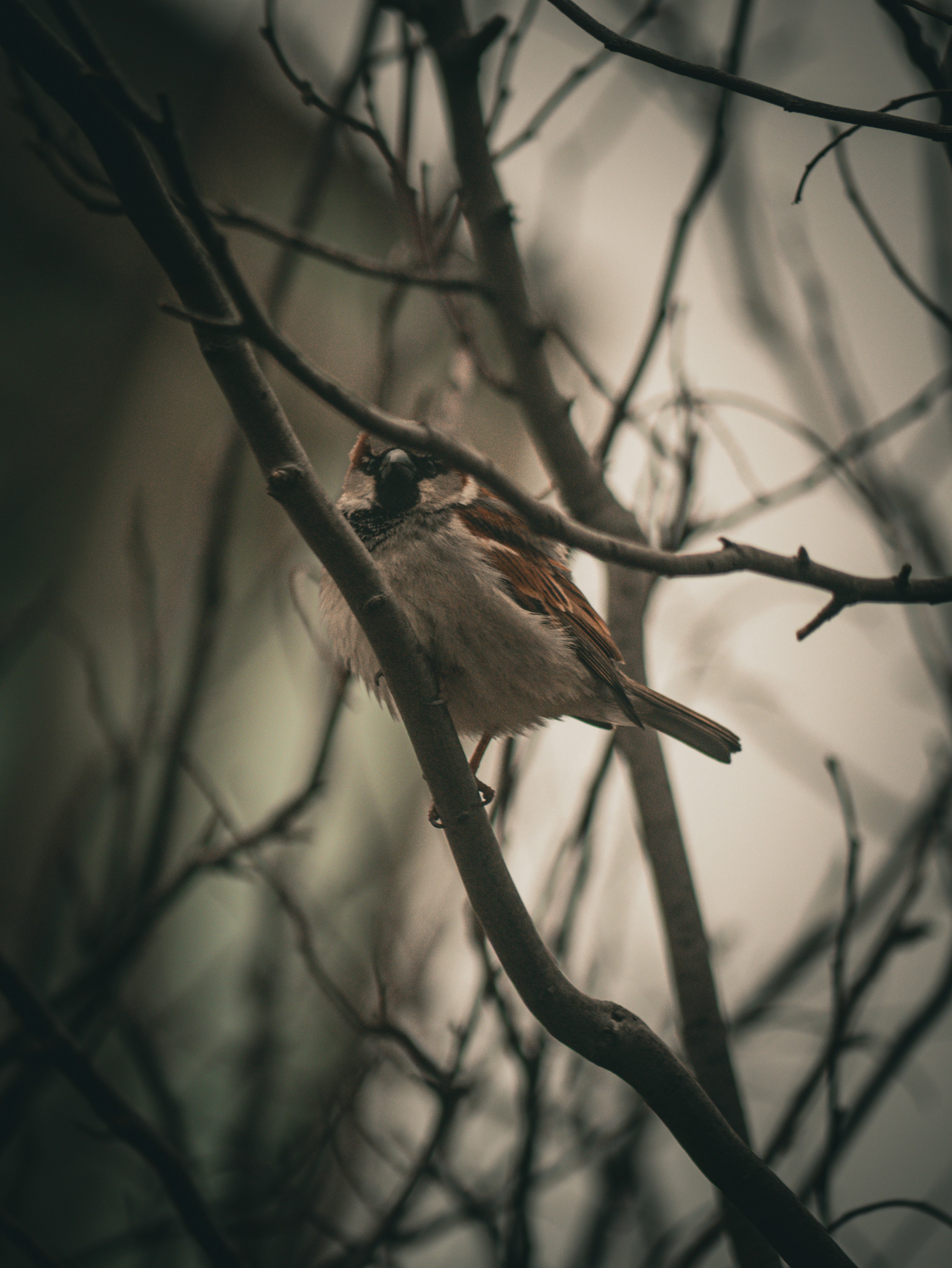 Photo by jadonjohnson