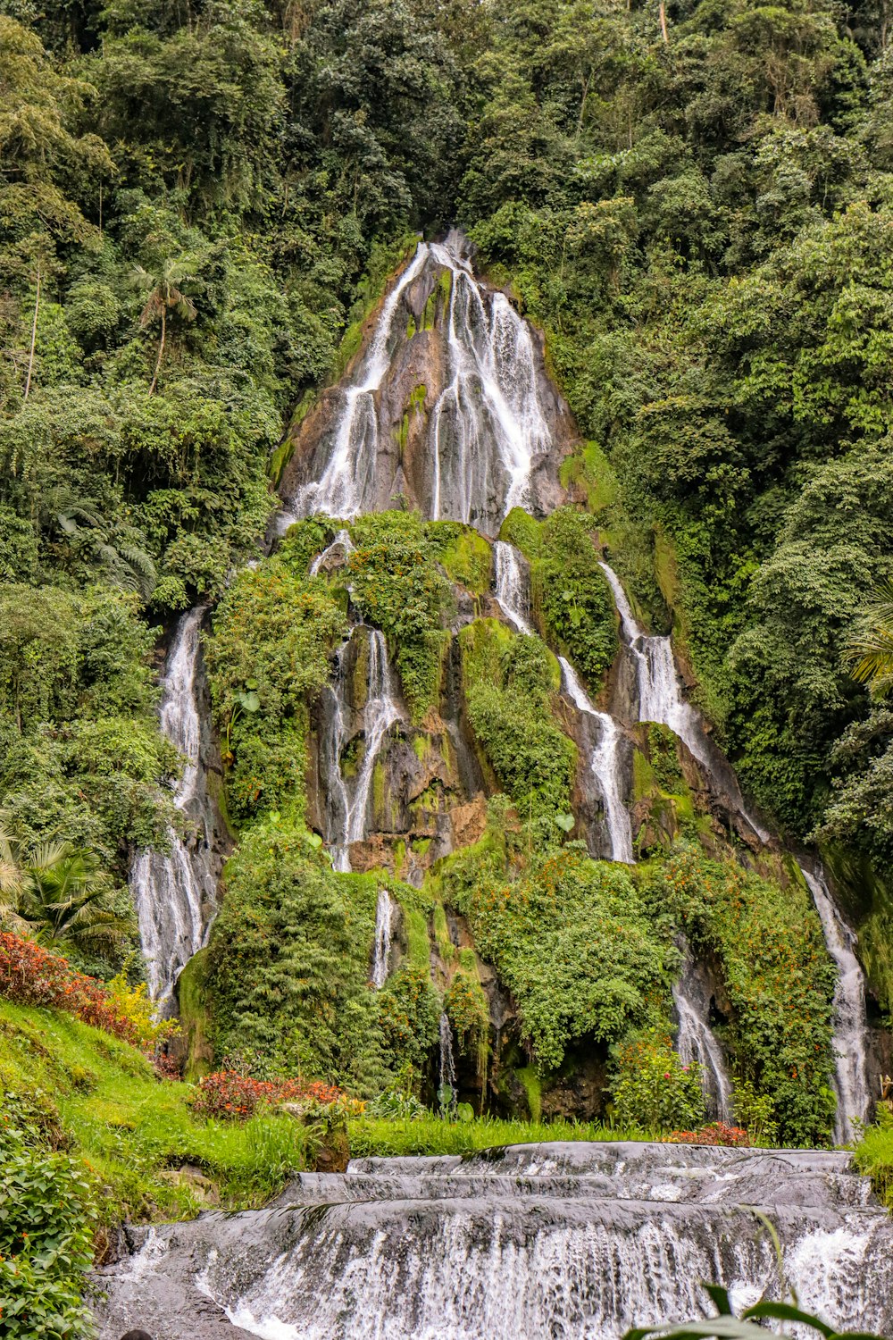 a waterfall in the middle of a lush green forest