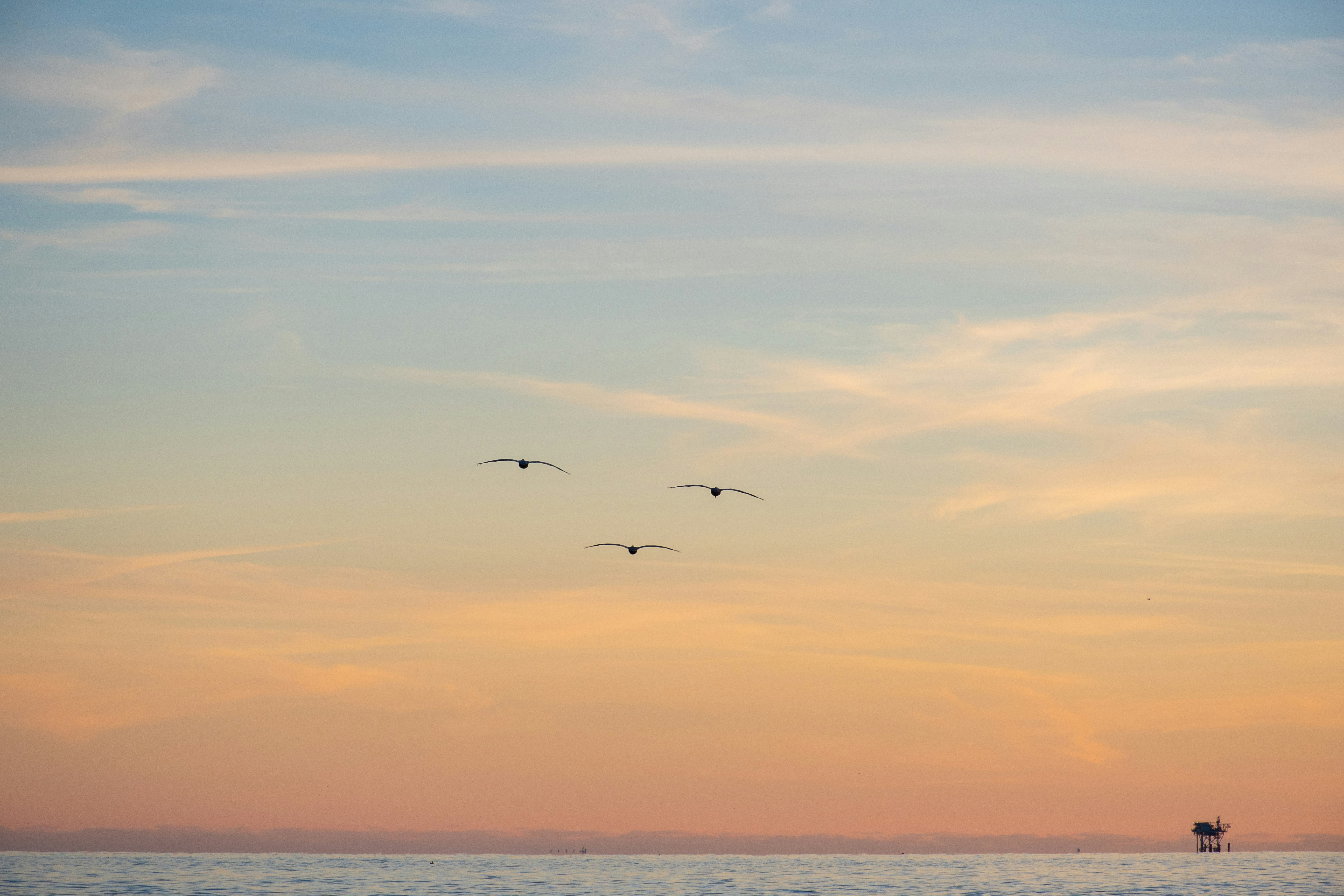 Photo by clovegrove7