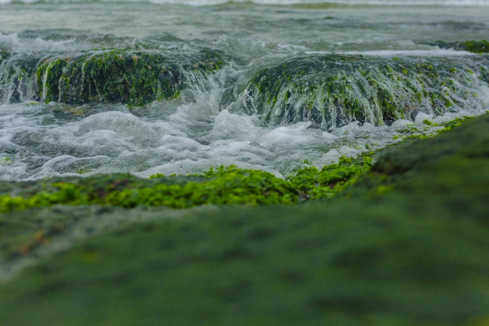 a close up of a river with rocks and water