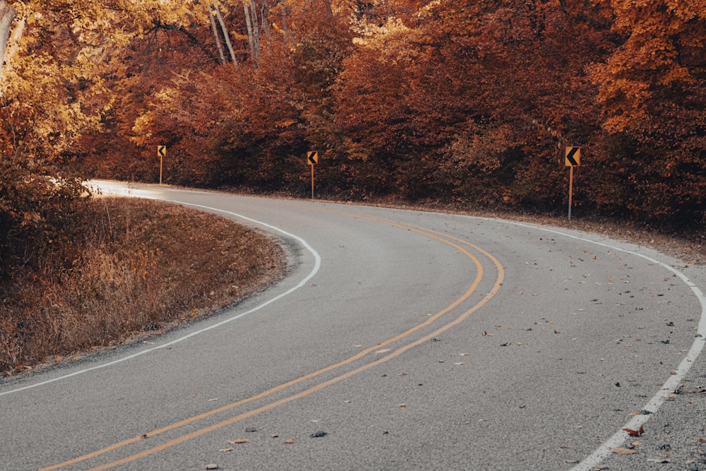 a curve in the road surrounded by trees